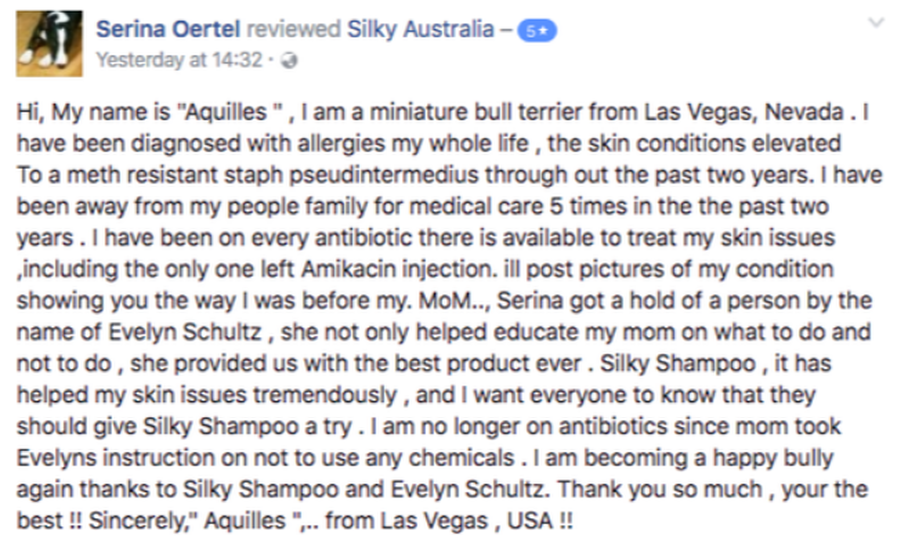 usa customer reviewing bull terrier skin problems by silky shampoo